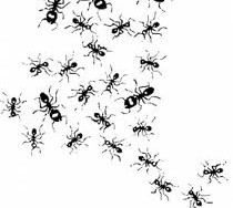 Gabriel Tarde: sonnambulismo psico-sociale