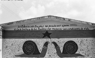 "Scuola democratica"