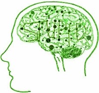 La stupidità fatta sistema. Nota su Bernard Stiegler