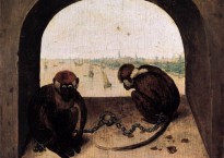 "Bruegel, scimmie"