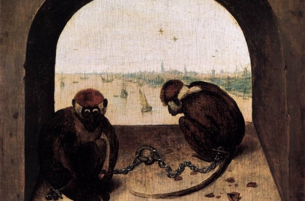 "Bruegel, scimmie"