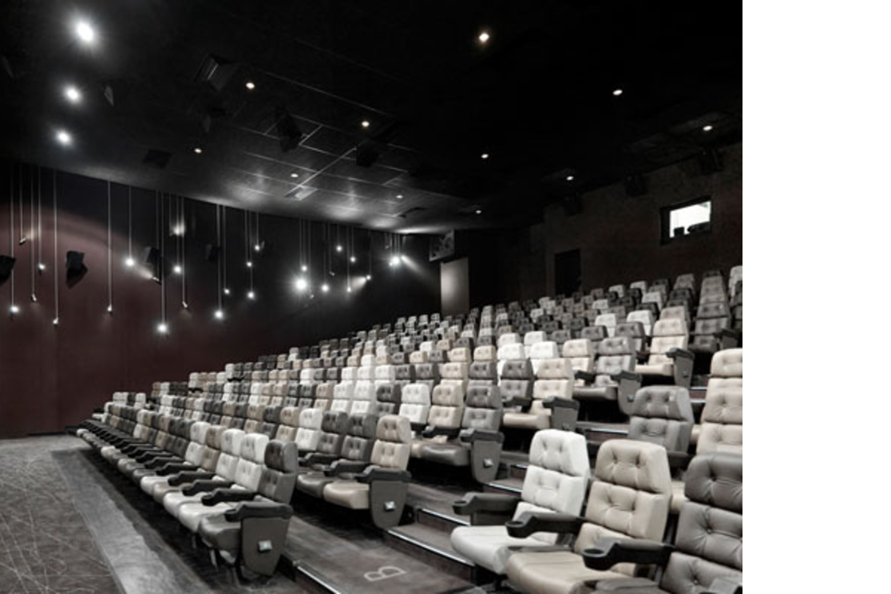 Alla ricerca della sala e del cinema